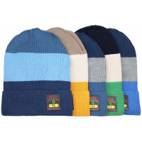 Шапка демисезон для мальчика (Полярик) арт.F-02-11 размер 52-54 цвет ассорти