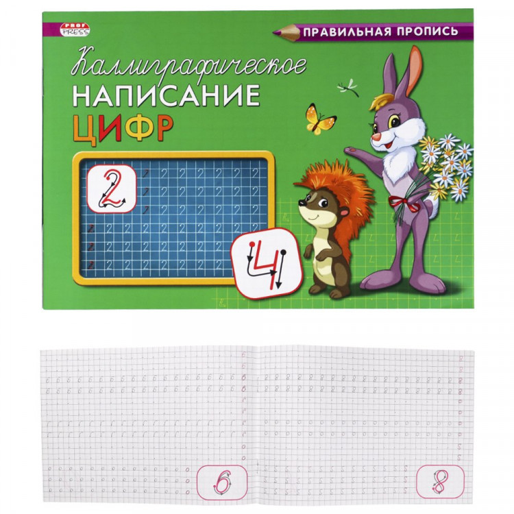 Раскраска А5 Прописи Каллиграфическое написание цифр (Проф-Пресс) арт.ПР-9331