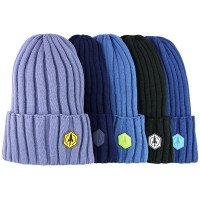 Шапка демисезон для мальчика (Полярик) арт.G-01-27 (о)  размер 52-56 цвет ассорти