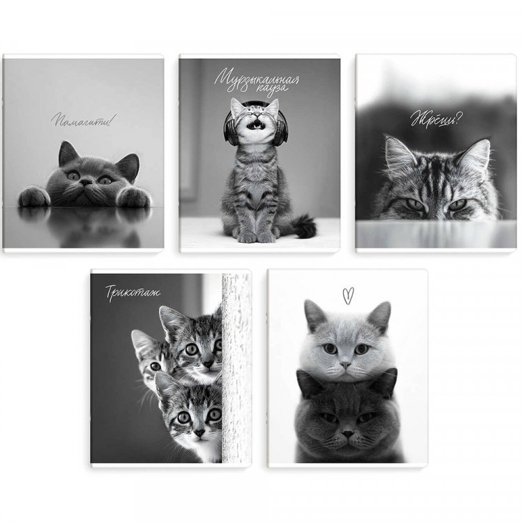 Тетрадь А5 клетка 48 листов скоба Феникс Монохромные коты выборочный твин-лак ассорти арт.70920