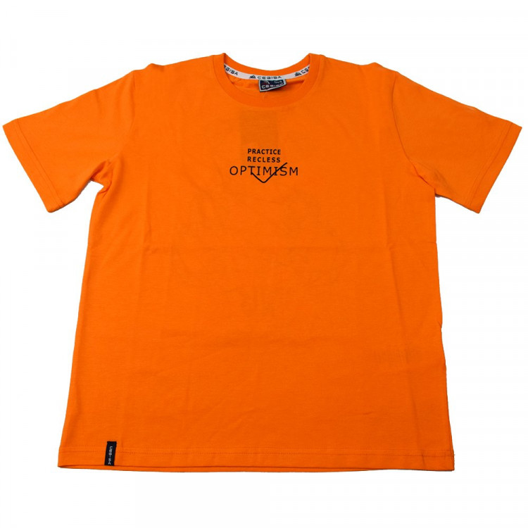 Футболка для мальчика арт.3182 размер 30/116-34/134 цвет оранжевый