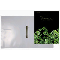 Папка на 2-х кольцах А4 30мм D-25мм пл. 0,65мм Tropicana deVENTE с внут.карманом арт.3081217