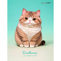 Дневник для младших классов твердая обложка  (Prof-Press) Котик глянцевая ламинация арт.ДМ254801