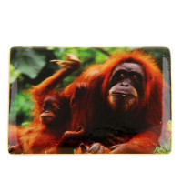 Магнит символ года добрые глаза обезьянки 7см арт.1057292