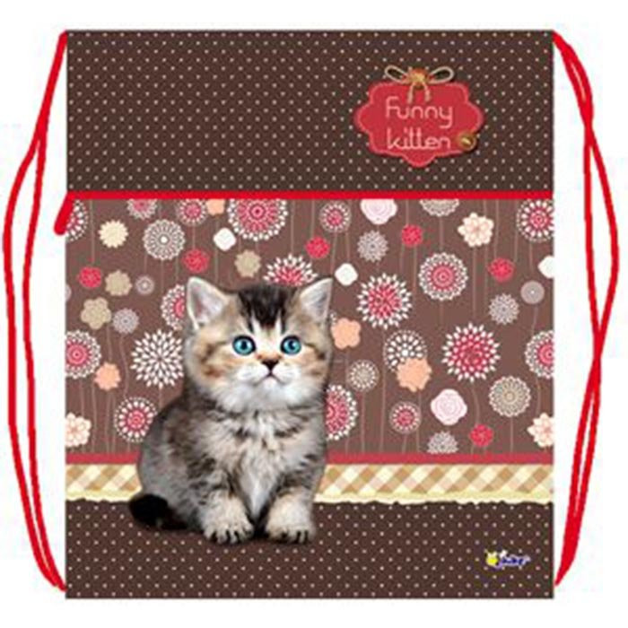 Сумка для сменной обуви 1 отделение с карманом и сеточкой (Оникс) МО-27-4 Funny kitten 410х490мм