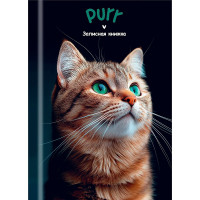 Записная книжка А7 твердая обложка 48 листов (Prof-Press) Зеленоглазый котик-1 глянцевая ламинация арт.48-8633