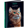 Записная книжка А7 твердая обложка 48 листов (Prof-Press) Зеленоглазый котик-1 глянцевая ламинация арт.48-8633
