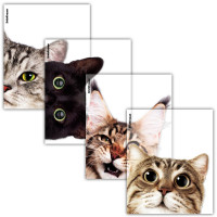 Набор обложек для тетради 212х347 полипропилен 80мкм 12 штук набор Hiding Cats (ErichKrause) арт 61128