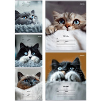 Тетрадь 12 листов косая линия с дополнительной горизонтальной (Prof-Press) Кошачьи мордочки ассорти арт.12-4460