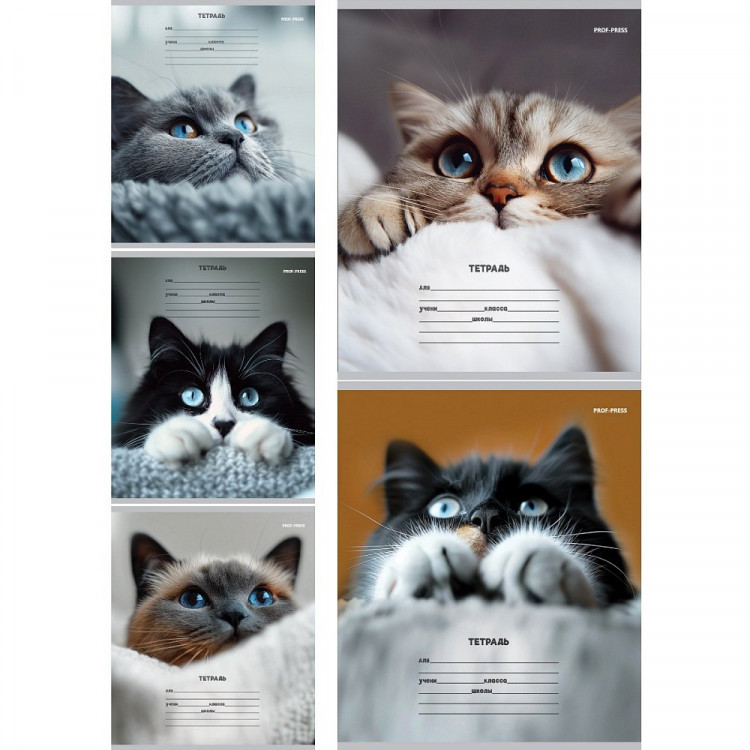 Тетрадь 12 листов косая линия с дополнительной горизонтальной (Prof-Press) Кошачьи мордочки ассорти арт.12-4460