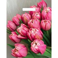 Пакет ПВД прорезная ручка 31*40 60мкм Стелла