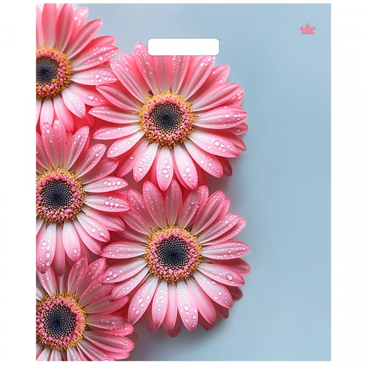 Пакет ПВД прорезная ручка 38*45+3 60мкм Герберы шанис