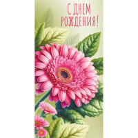 Открытка-конверт "С Днем рождения!" арт.075717