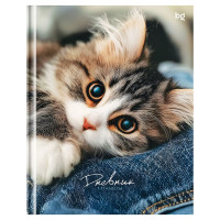 Дневник школьный твердая обложка (BG) Мур матовая ламинация арт.Д5т48_лм 62215