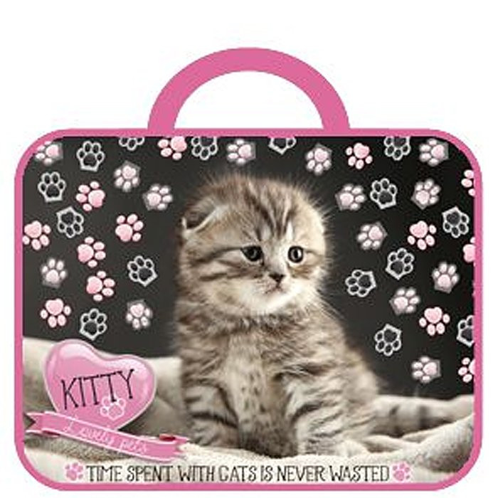 Папка А4 текстиль на молнии ручка-тесьма (ОНИКС) Kitty арт.ПМД2-20