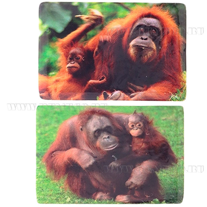 юМагнит СИМВОЛ ГОДА "Обезьяна" 7,5см асс. арт.663993