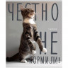 Тетрадь А5 клетка 96 листов скоба (Prof-Press) Котики и надписи цветная мелованная обложка лен ассорти арт.96-8847