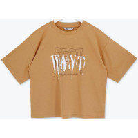 Футболка для мальчика арт.DELORAS 55476 размер 34/134-42/158 цвет оранжевый