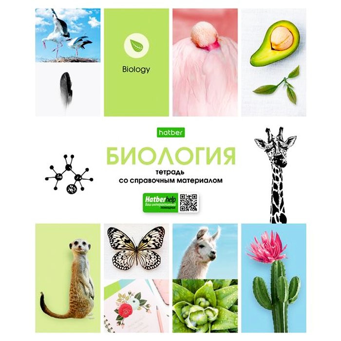 Тетрадь предметная 48 листов (Hatber) В мире знаний Биология арт 48Т5Cd1_24454