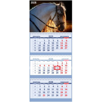 Календарь настенный 3-бл 2026 295*700 "Андалузский жеребец" на 3 гребнях Attomex арт.2133519 (Ст.40)