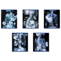 Тетрадь А5 клетка 48 листов скоба (ErichKrause) Flower Ray металлизированный голографический картон ассорти арт.63314