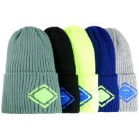 Шапка демисезонная для мальчика (Полярик) арт.L-01-26 размер 50-54 цвет в ассортименте