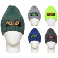 Шапка демисезон для мальчика (ARABELLA) арт.103/22 CHILL размер 52-54 цвет в ассортименте