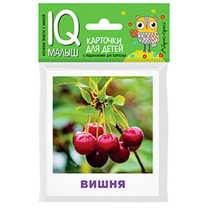 Карточки обучающие (Айрис) Умный малыш Что растет в саду? 17 карточек артнаклейки 26017