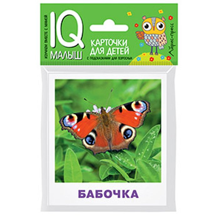 Карточки обучающие (Айрис) Умный малыш Насекомые 17 карточек артнаклейки 25951