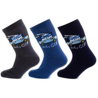 Носки детские арт.НД15 размер 14-20 хлопок 80% полиамид 18% эластан 2% цвет ассорти для мальчика (Школьница)