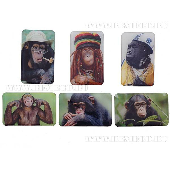 юМагнит СИМВОЛ ГОДА "Обезьяна" 5см асс. арт.676205