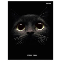 Записная книжка А5 твердая обложка 160 листов (Prof-Press) Взгляд кота глянцевая ламинация арт.160-1704