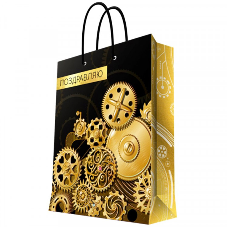 Пакет подароч. бумаж. 17,8*22,9см "Поздравляю_Механизм" арт.93859FE