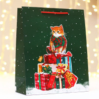 Пакет подарочн. 26*32*12см  бумаж. "Салют" арт.9830338