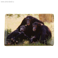 юМагнит СИМВОЛ ГОДА "Семья обезьян" 7,5см арт.1057294