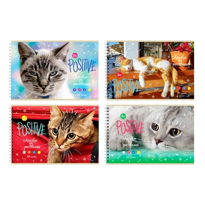 Альбом для рисования 24 листов спираль (BG) Кошачья жизнь ассорти арт 7610