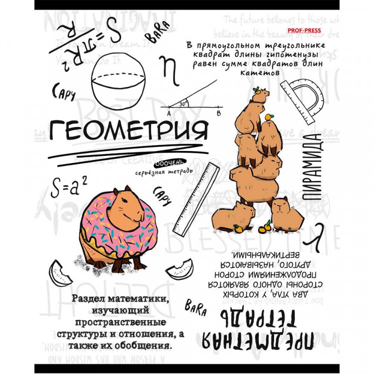 Тетрадь предметная 48 листов (Prof-Press) Капибара Геометрия тиснение лен арт.48-0035