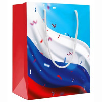 Пакет подароч. бумаж. 22,7*18см "Триколор" арт.15.19.02287