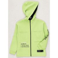 Толстовка для мальчика (DMB) артикул 4999 размерный ряд 28/104-32/128 цвет фисташка