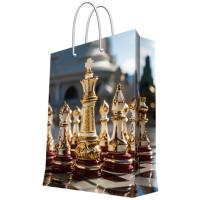 Пакет подароч. бумаж. 17,8*22,9см "Шахматы" арт.93869FE