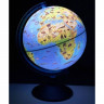 Глобус зоогеографический 250мм с подсветкой от батареек арт Ве012500268