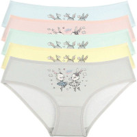 Трусы для девочки арт.415044 размер 34/134-140 (8/9) цвет в ассортименте 100% хлопок