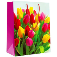 Пакет подароч. бумаж. 32*26см "Цветные тюльпаны" арт.152002257