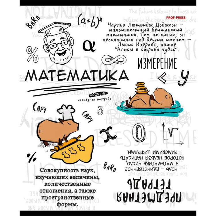 Тетрадь предметная 48 листов (Prof-Press) Капибара Математика тиснение лен арт.48-0039