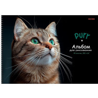Альбом для рисования 40 листов спираль (Prof-Press) Зеленоглазый котик кот матовая ламинация выборочный лак арт.А40-8350