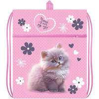 Сумка для сменной обуви 1 отделение с карманом и сеточкой (Оникс) МО-27-4р Мур-Мур 410х490мм