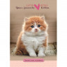 Записная книжка А6 твердая обложка 160 листов (ПРОФ-ПРЕСС) Любимый котенок арт.160-4715