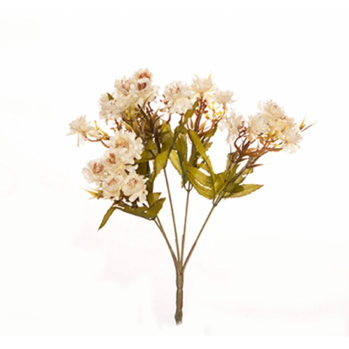 яяяЦветок Маргаритка