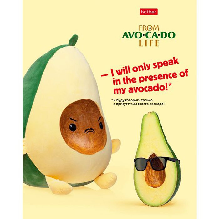 Тетрадь А5 клетка 48 листов скоба (Hatber) AvoCaDo life арт 48Т5В1