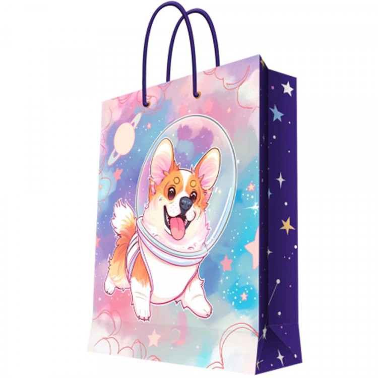 Пакет подароч. бумаж. 17,8*22,9см "Корги_космонавт" арт.96392